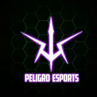 space-banner